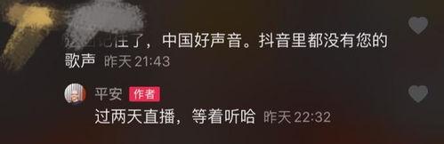 歌手平安最新爆料歌曲,穿越时空的旋律,唤醒沉睡的回忆 第3张 歌手平安最新爆料歌曲,穿越时空的旋律,唤醒沉睡的回忆 第3张